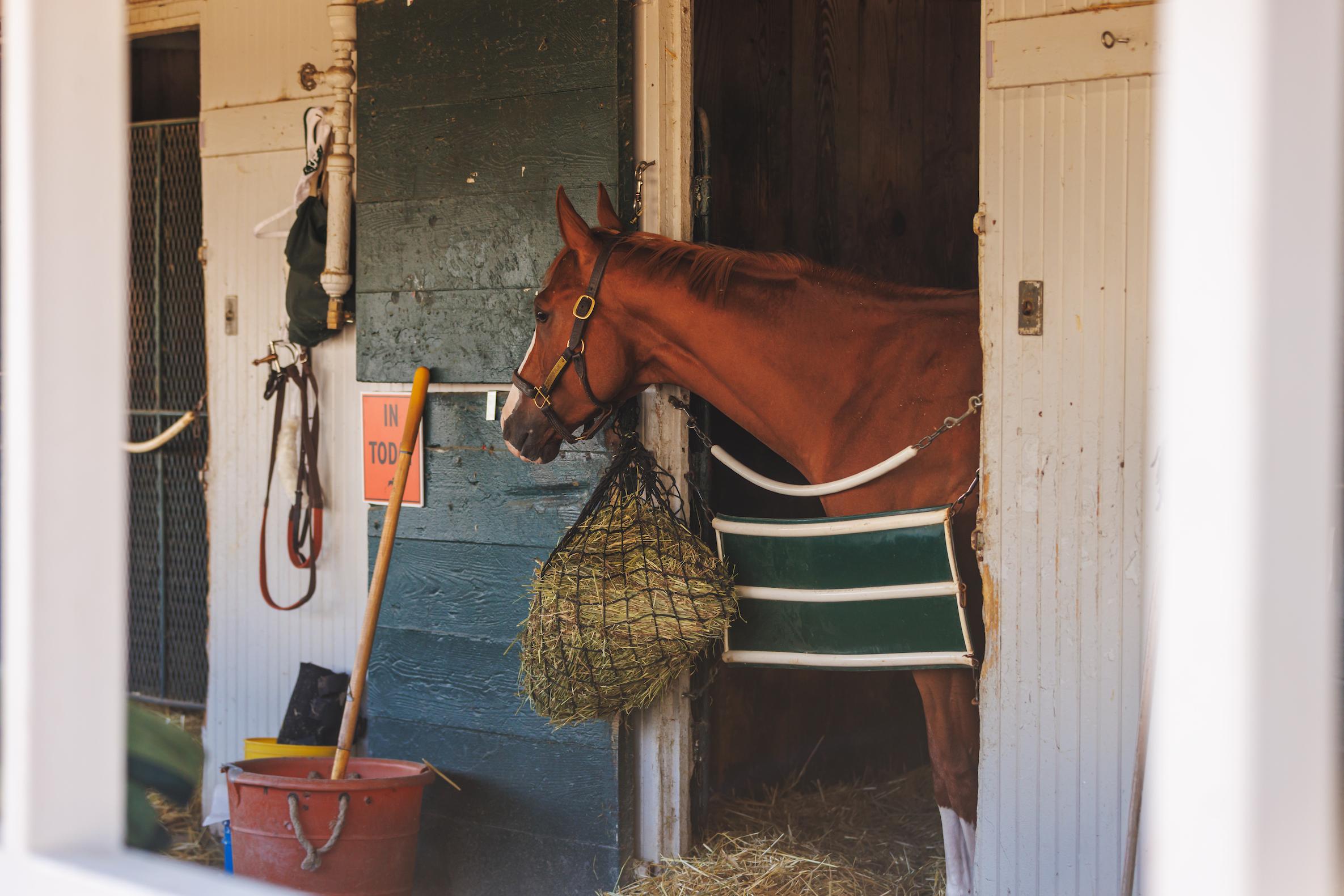 stall photo