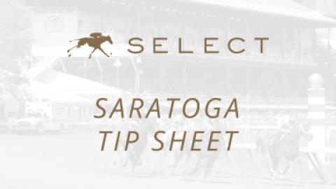 Saratoga Tip Sheet 